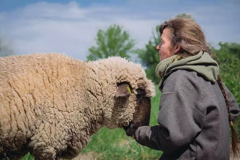 Naschen und Gutes tun: Land der Tiere - Schaf